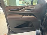 Used 2023 Cadillac Escalade Sport Platinum image 6