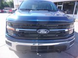 Used 2024 Ford F150 XLT w/ Mobile Office Package image 2