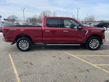 New 2025 Ford F150 XLT w/ Equipment Group 302A MID image 6