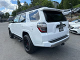 Used 2022 Toyota 4Runner TRD Off-Road Premium w/ TRD Black Wheel Package (TMS) image 4