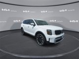 New 2025 Kia Telluride SX image 2