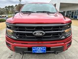 New 2025 Ford F150 XLT w/ Equipment Group 303A High image 2