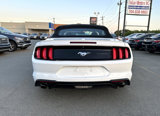 Used 2018 Ford Mustang Premium image 5