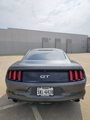 Used 2016 Ford Mustang GT w/ Enhanced Security Package image 4