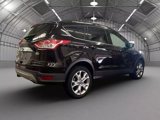 Used 2013 Ford Escape SEL image 5