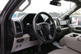 Used 2020 Ford F150 XLT w/ Equipment Group 302A Luxury image 3
