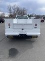 New 2025 Ford F550 4x4 Regular Cab Super Duty image 4
