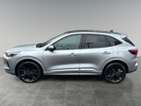 Used 2024 Ford Escape ST-Line Elite w/ Premium Technology Package image 4