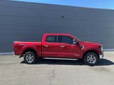 New 2025 Ford F150 XLT w/ Equipment Group 302A MID image 2