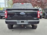 Used 2023 Ford F150 Lariat image 6