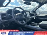 New 2025 Ford F150 XLT w/ Equipment Group 302A MID image 2