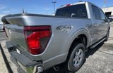 New 2025 Ford F150 XLT image 6