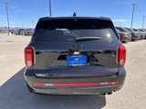 New 2025 Hyundai Palisade Calligraphy image 6