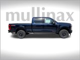 New 2025 Ford F250 Platinum image 2