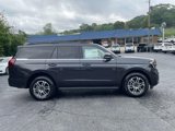 New 2025 Ford Expedition Active image 5