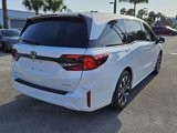 New 2025 Honda Odyssey Elite image 5