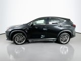 New 2026 Lexus NX 350 AWD w/ Luxury Package image 4