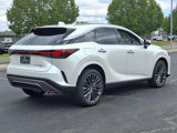 New 2025 Lexus RX 450h AWD w/ Luxury Package image 4