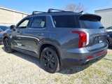 New 2025 Hyundai Palisade XRT image 2