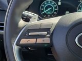 New 2025 Hyundai Palisade Calligraphy image 4
