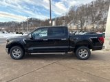 New 2025 Ford F150 XLT w/ Equipment Group 302A MID image 4