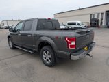 Used 2019 Ford F150 XLT w/ Equipment Group 302A Luxury image 6