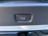 New 2025 Ford Expedition Platinum image 6