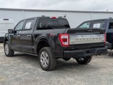 Certified 2023 Ford F150 Platinum w/ Equipment Group 701A High image 5