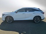 New 2025 Lexus RX 350 F Sport image 6