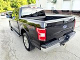 Used 2019 Ford F150 XLT w/ Equipment Group 302A Luxury image 5