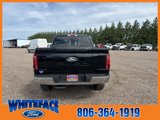 New 2025 Ford F150 Lariat w/ Equipment Group 502A High image 5