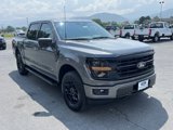 New 2025 Ford F150 XLT w/ Equipment Group 302A MID image 4