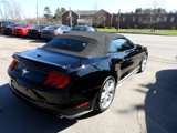 Used 2021 Ford Mustang Premium w/ Equipment Group 201A image 4