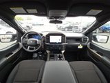 New 2025 Ford F150 STX image 2