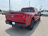 New 2025 Ford F150 STX image 5
