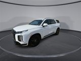 New 2025 Hyundai Palisade Calligraphy image 4