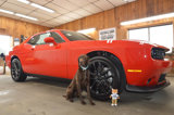 Used 2023 Dodge Challenger GT w/ Plus Package image 2