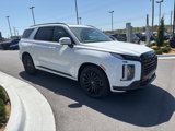 New 2025 Hyundai Palisade Calligraphy image 3