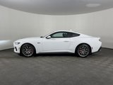 Used 2024 Ford Mustang GT Premium image 3