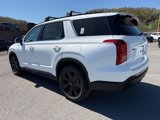 New 2025 Hyundai Palisade XRT image 4