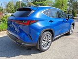 New 2025 Lexus NX 350 AWD w/ Premium Package image 4