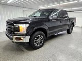 Used 2019 Ford F150 XLT w/ Equipment Group 302A Luxury image 4