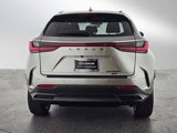 New 2025 Lexus NX 450h+ AWD w/ Luxury Package image 4
