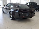 New 2025 Dodge Charger Scat Pack w/ Track Pack image 6