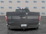 New 2025 Ford F150 XLT w/ Equipment Group 302A MID image 4