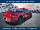 New 2025 Ford F150 XLT w/ Equipment Group 301A Standard image 4
