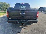 Used 2019 Ford F150 XLT w/ Equipment Group 302A Luxury image 5