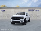 New 2025 Ford F150 Platinum image 2