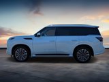 New 2025 INFINITI QX80 Sensory image 6