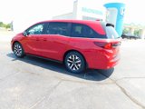 New 2025 Honda Odyssey EX-L image 5